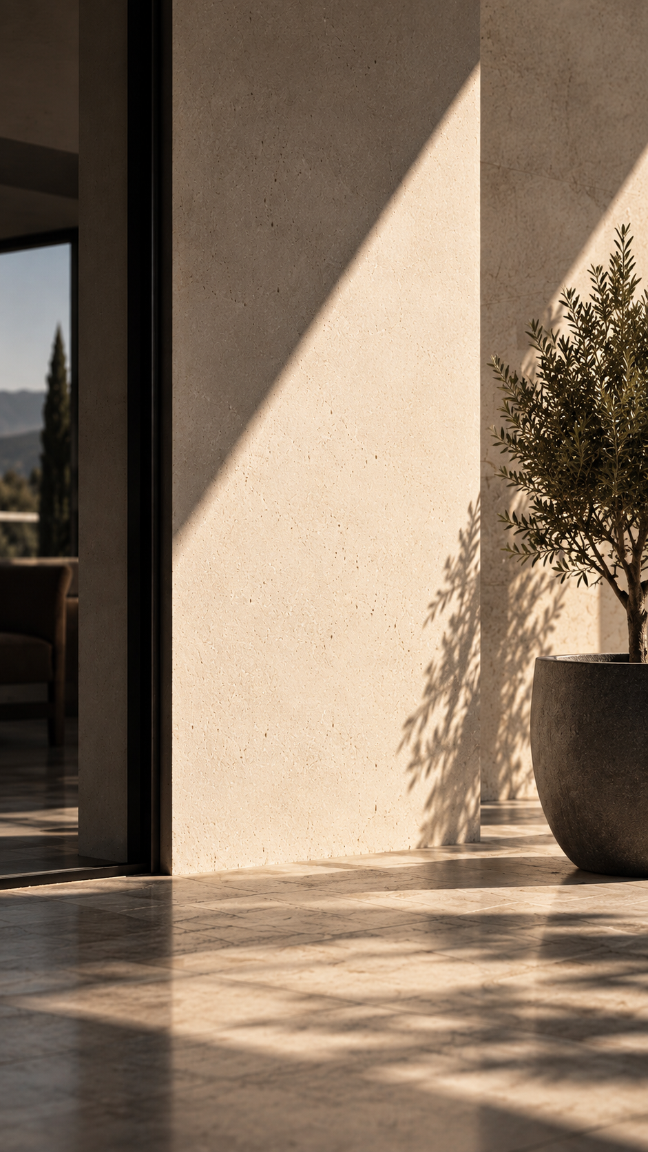 Sunlit stone wall with an olive tree on a warm afternoon